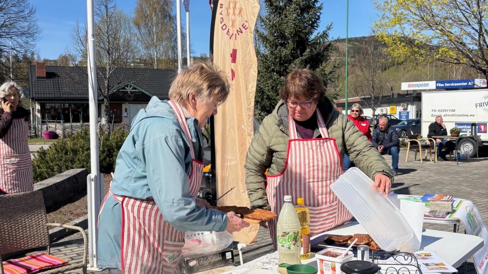 Lenke til artikkel: Åsnes-frivilligheten blomstret under Vårdagene