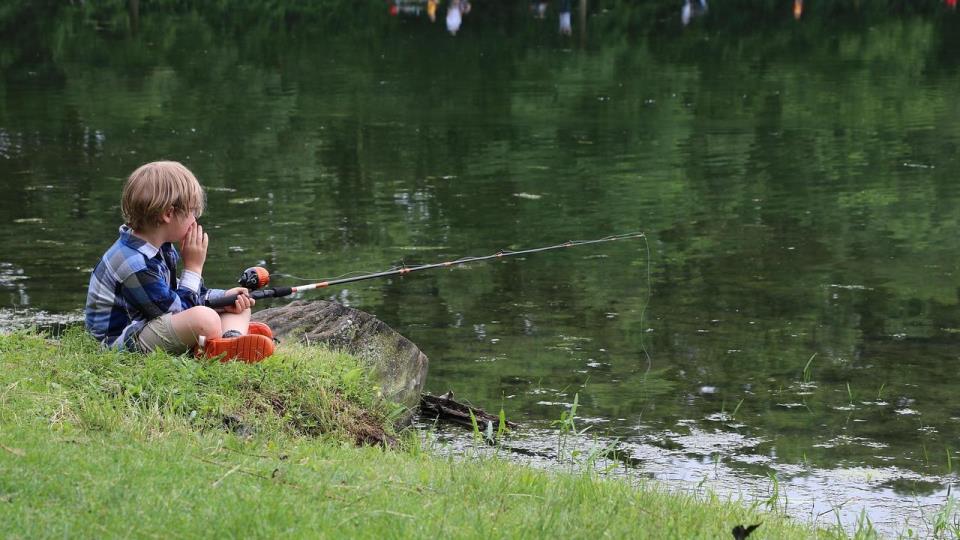 Lenke til artikkel: Støtte til tiltak langs vassdrag