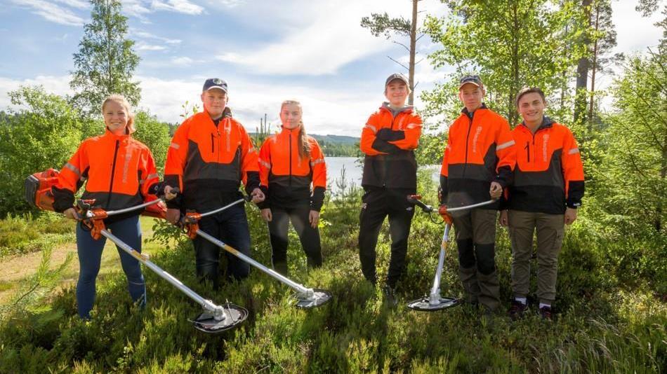 Lenke til artikkel: Prosjekt JOB:U avd. Åsnes og Våler søker ungdom til sommerjobb i skogen