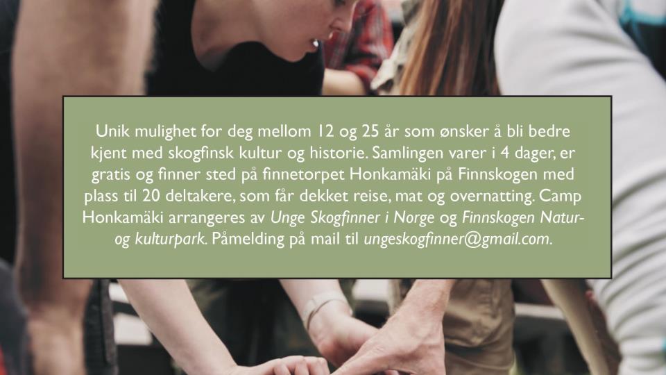 Lenke til artikkel: Bli med på Camp Honkamäki Finnskogen