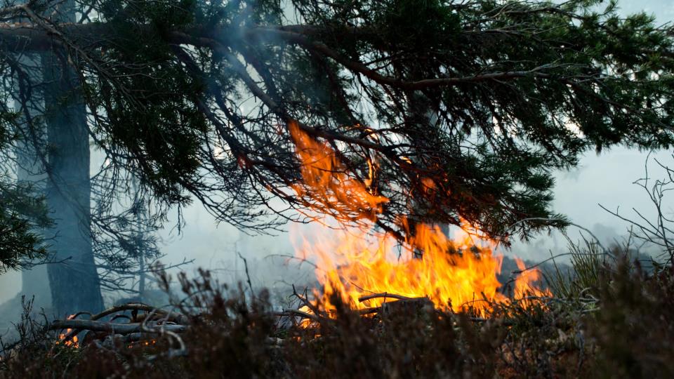 Lenke til artikkel: Stor brannfare – husk bålforbudet!