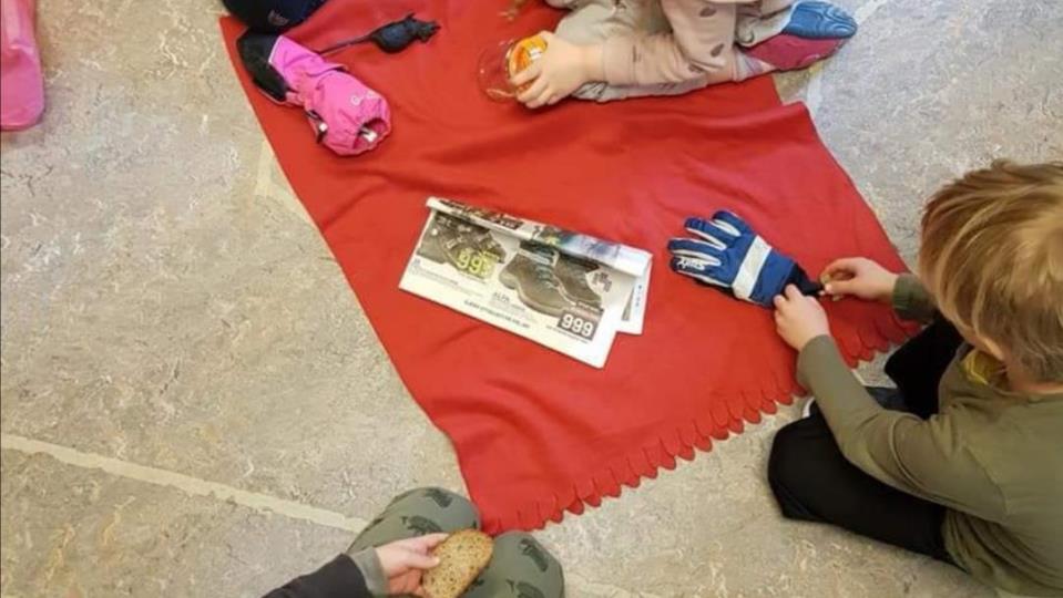 Lenke til artikkel: Barnehagedag med "Små steg for kloden"