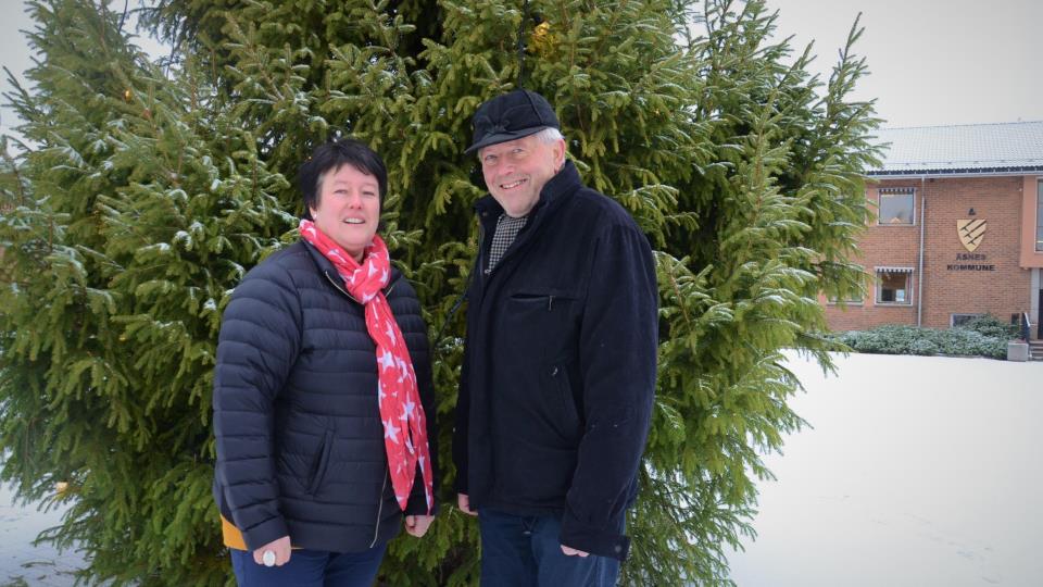 Lenke til artikkel: Rådshusplassens juletre - fra problem til ressurs