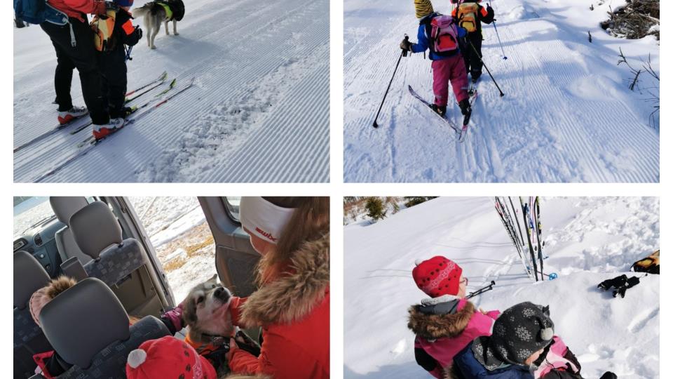 Lenke til artikkel: Strålende utedag for unge skientusiaster