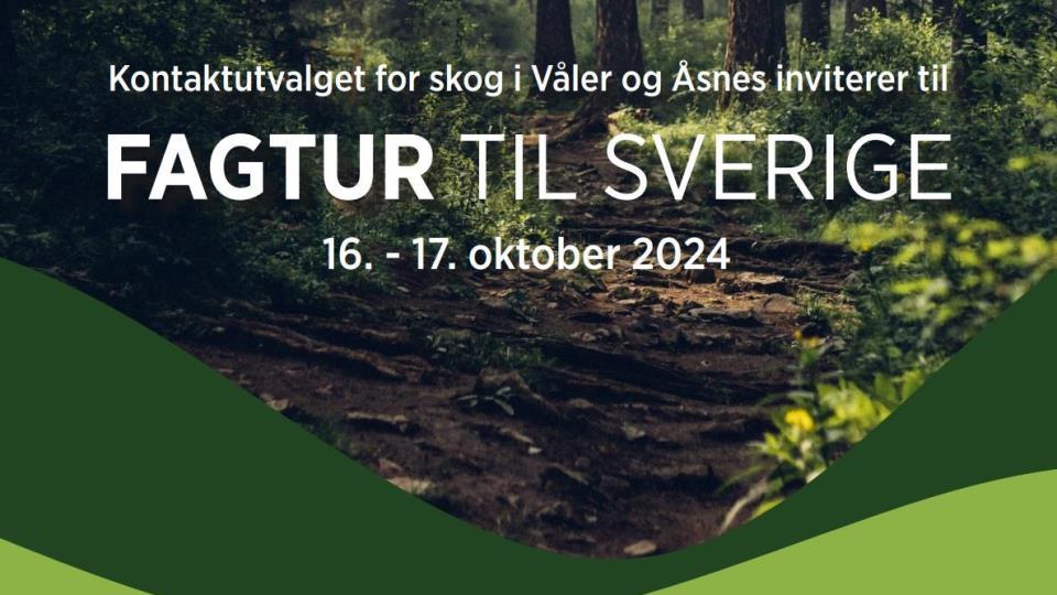 Lenke til artikkel: Bli med på skogfagtur til Sverige