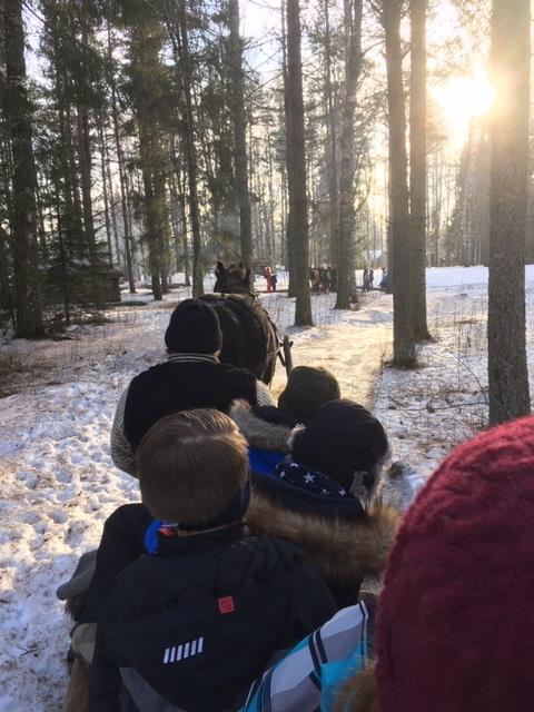 Klikk for stort bilde