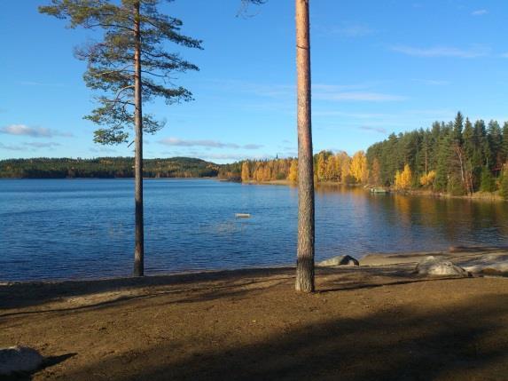 Utsikt mot innsjø. - Klikk for stort bilde