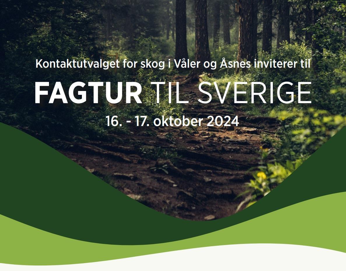 Tekstplakat om arrangement. Bakgrunnsbilde av skog. - Klikk for stort bilde
