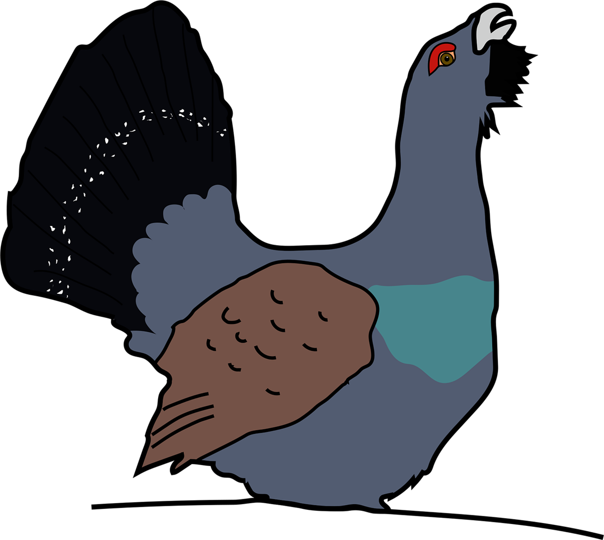 Tegning av en tiur - Klikk for stort bilde